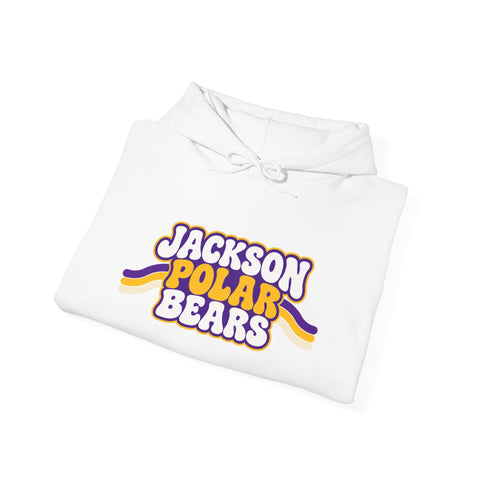 Jackson Polar Bears Retro Stripe Hoodie