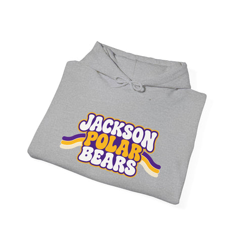 Jackson Polar Bears Retro Stripe Hoodie