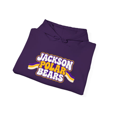 Jackson Polar Bears Retro Stripe Hoodie