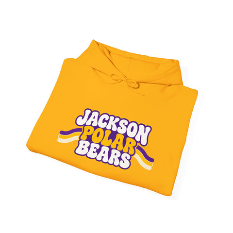 Jackson Polar Bears Retro Stripe Hoodie